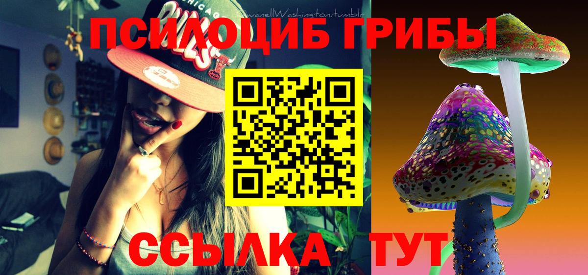 Псилоцибиновые грибы GOLDEN TEACHER Котельники